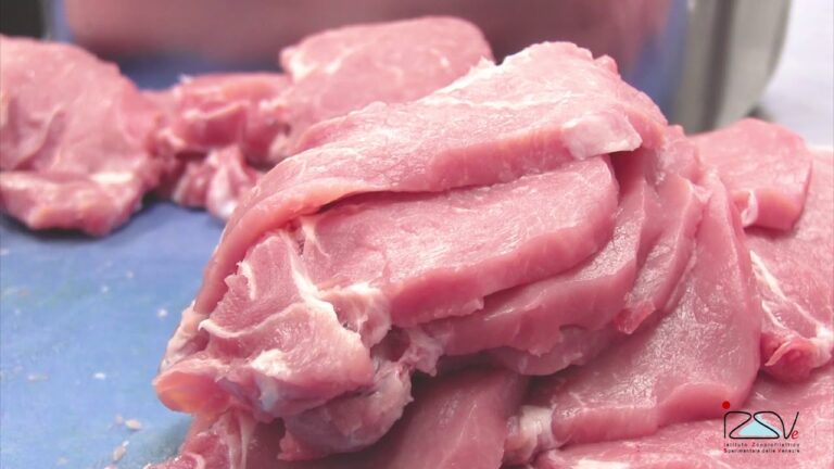 Segreti per conservare la carne nel freezer: massimizza la durata!