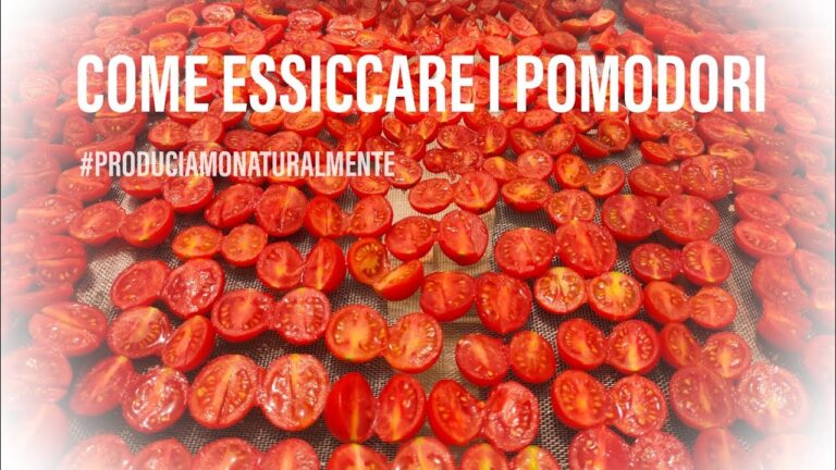 Pomodori secchi al naturale: il segreto per una preparazione irresistibile!