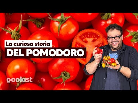 Pomodoro: la sorprendente storia del suo antico colore giallo!